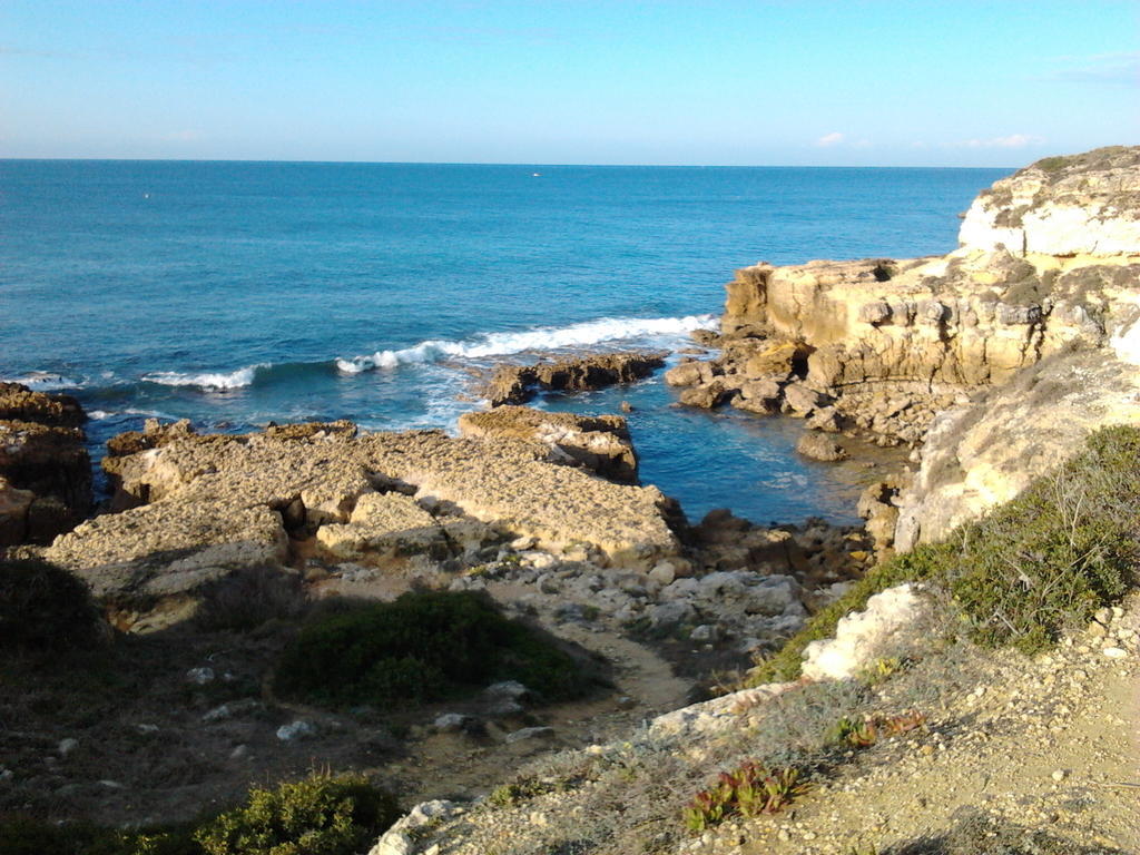 Villa Quinta Das Flores à Albufeira Extérieur photo