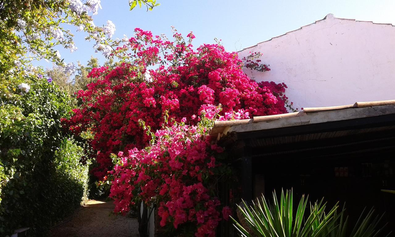 Villa Quinta Das Flores à Albufeira Extérieur photo